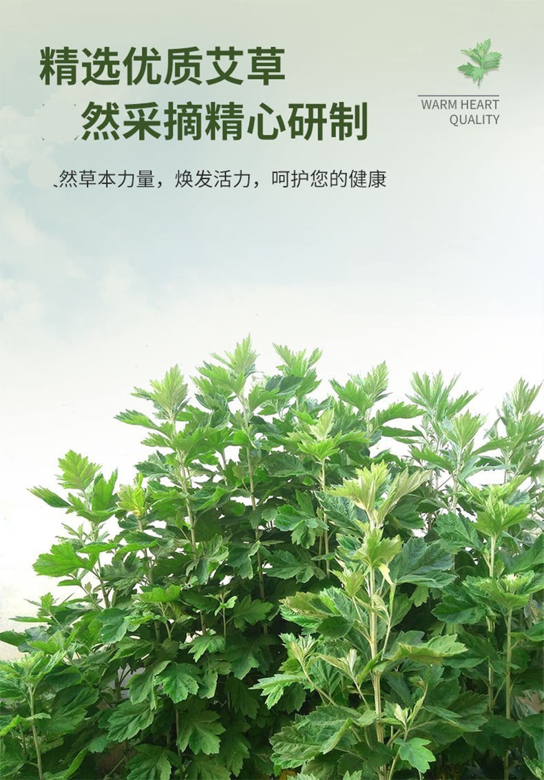 九洲福艾灸新品开箱实拍这一盒到底值不值？这品质绝了！(图1)
