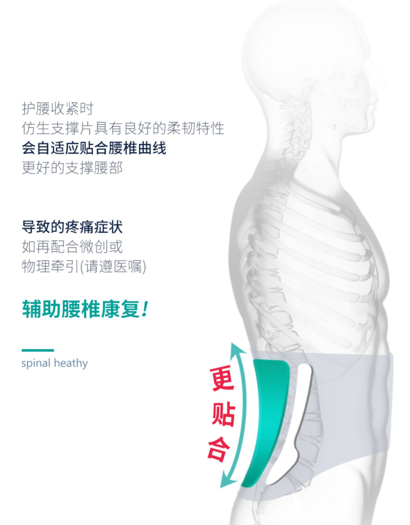 艾草腰椎贴的功效(图1)