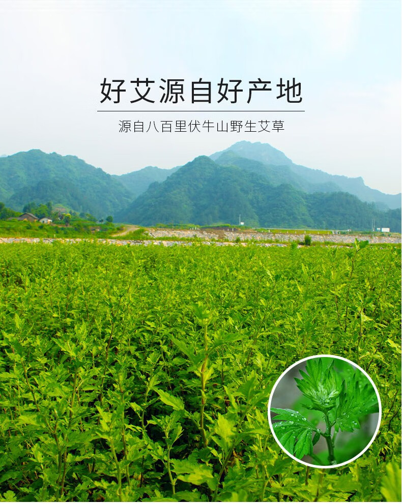 网友评论(图1)