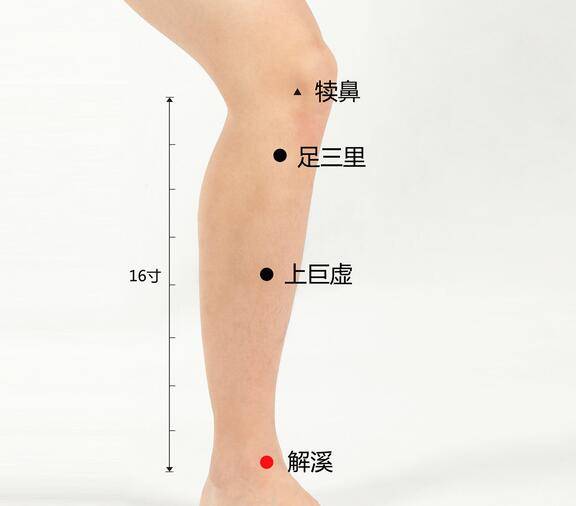 艾草膝盖贴如何贴(图1)
